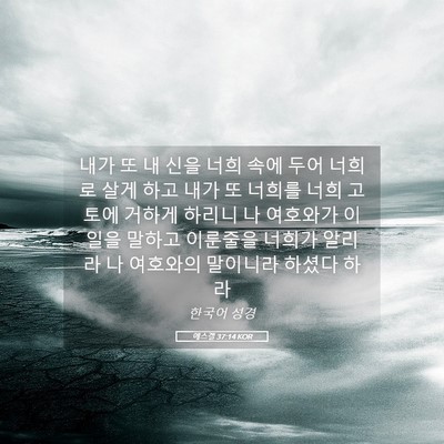 Picture 05 - 에스겔 37:14 KOR - 내가 또 내 신을 너희 속에 두어 - Bible Verse Picture