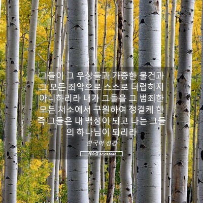 Picture 05 - 에스겔 37:23 KOR - 그들이 그 우상들과 가증한 물건과 - Bible Verse Picture