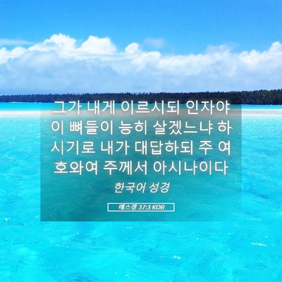 Picture 05 - 에스겔 37:3 KOR - 그가 내게 이르시되 인자야 이 - Bible Verse Picture