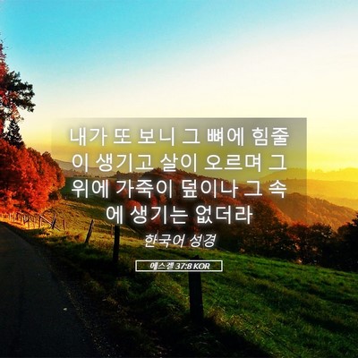 Picture 05 - 에스겔 37:8 KOR - 내가 또 보니 그 뼈에 힘줄이 생기고 - Bible Verse Picture