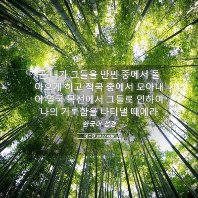 Picture 05 - 에스겔 39:27 KOR - 곧 내가 그들을 만민 중에서 - Bible Verse Picture