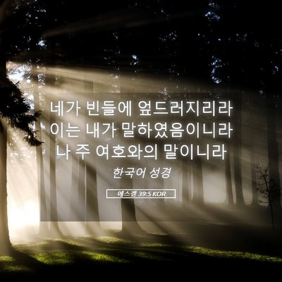 Picture 05 - 에스겔 39:5 KOR - 네가 빈들에 엎드러지리라 이는 내가 - Bible Verse Picture