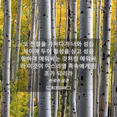Picture 05 - 에스겔 4:3 KOR - 또 전철을 가져다가 너와 성읍 - Bible Verse Picture