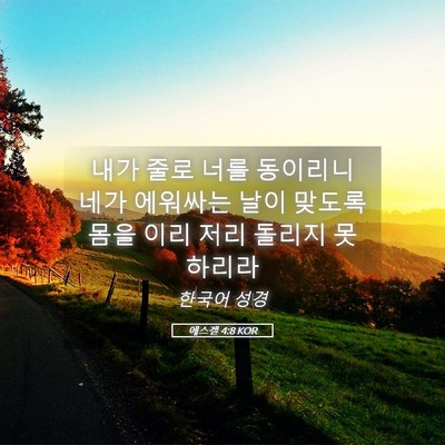 Picture 05 - 에스겔 4:8 KOR - 내가 줄로 너를 동이리니 네가 - Bible Verse Picture