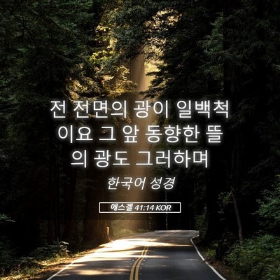 Picture 05 - 에스겔 41:14 KOR - 전 전면의 광이 일백척이요 그 앞 - Bible Verse Picture