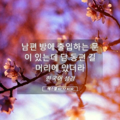 Picture 05 - 에스겔 42:12 KOR - 남편 방에 출입하는 문이 있는데 담 - Bible Verse Picture