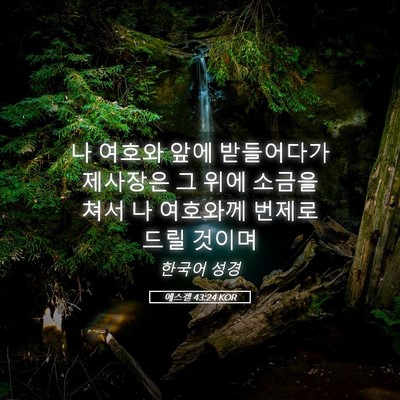 Picture 05 - 에스겔 43:24 KOR - 나 여호와 앞에 받들어다가 제사장은 - Bible Verse Picture