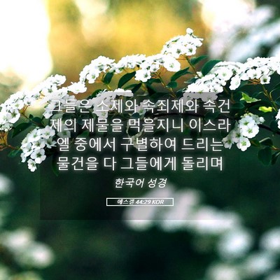 Picture 05 - 에스겔 44:29 KOR - 그들은 소제와 속죄제와 속건제의 - Bible Verse Picture