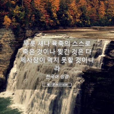 Picture 05 - 에스겔 44:31 KOR - 무릇 새나 육축의 스스로 죽은 - Bible Verse Picture