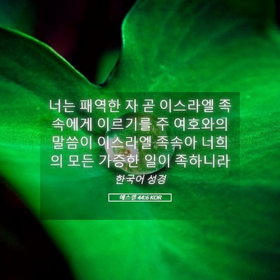 Picture 05 - 에스겔 44:6 KOR - 너는 패역한 자 곧 이스라엘 - Bible Verse Picture