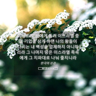 Picture 05 - 에스겔 45:8 KOR - 이 땅으로 왕에게 돌려 이스라엘 - Bible Verse Picture