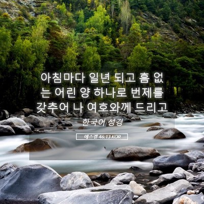 Picture 05 - 에스겔 46:13 KOR - 아침마다 일년 되고 흠 없는 어린 양 - Bible Verse Picture