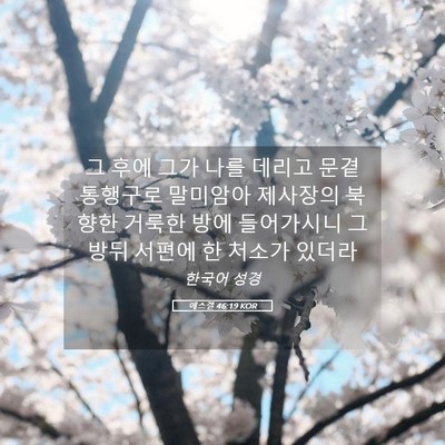 Picture 05 - 에스겔 46:19 KOR - 그 후에 그가 나를 데리고 문곁 - Bible Verse Picture