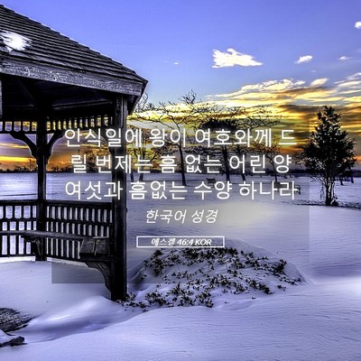 Picture 05 - 에스겔 46:4 KOR - 안식일에 왕이 여호와께 드릴 번제는 - Bible Verse Picture