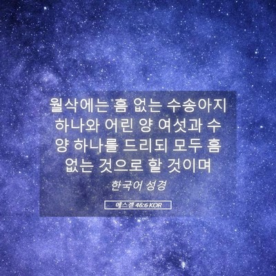 Picture 05 - 에스겔 46:6 KOR - 월삭에는 흠 없는 수송아지 하나와 - Bible Verse Picture