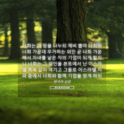 Picture 05 - 에스겔 47:22 KOR - 너희는 이 땅을 나누되 제비 뽑아 - Bible Verse Picture