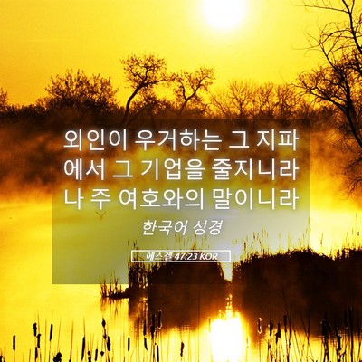 Picture 05 - 에스겔 47:23 KOR - 외인이 우거하는 그 지파에서 그 - Bible Verse Picture