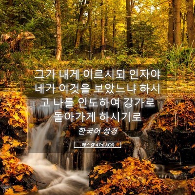 Picture 05 - 에스겔 47:6 KOR - 그가 내게 이르시되 인자야 네가 - Bible Verse Picture