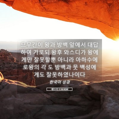 Picture 05 - 에스더 1:16 KOR - 므무간이 왕과 방백 앞에서 대답하여 - Bible Verse Picture