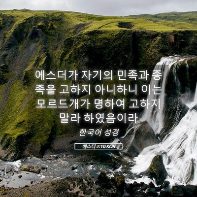 Picture 05 - 에스더 2:10 KOR - 에스더가 자기의 민족과 종족을 - Bible Verse Picture