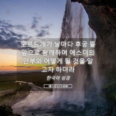Picture 05 - 에스더 2:11 KOR - 모르드개가 날마다 후궁 뜰 앞으로 - Bible Verse Picture