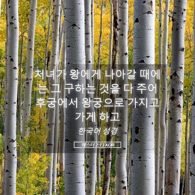 Picture 05 - 에스더 2:13 KOR - 처녀가 왕에게 나아갈 때에는 그 - Bible Verse Picture