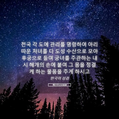 Picture 05 - 에스더 2:3 KOR - 전국 각 도에 관리를 명령하여 - Bible Verse Picture