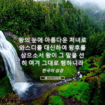 Picture 05 - 에스더 2:4 KOR - 왕의 눈에 아름다운 처녀로 와스디를 - Bible Verse Picture
