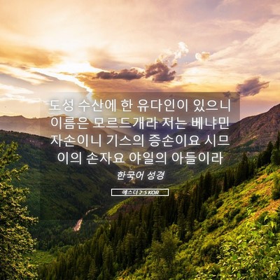 Picture 05 - 에스더 2:5 KOR - 도성 수산에 한 유다인이 있으니 - Bible Verse Picture