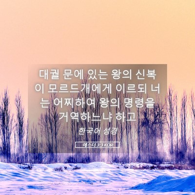 Picture 05 - 에스더 3:3 KOR - 대궐 문에 있는 왕의 신복이 - Bible Verse Picture