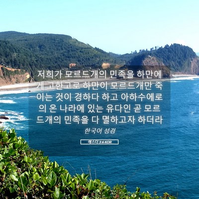 Picture 05 - 에스더 3:6 KOR - 저희가 모르드개의 민족을 하만에게 - Bible Verse Picture