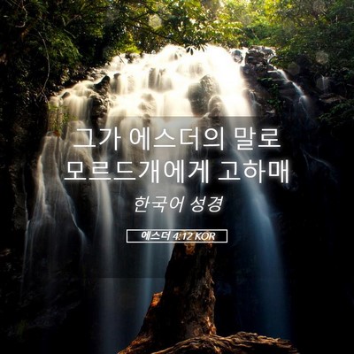 Picture 05 - 에스더 4:12 KOR - 그가 에스더의 말로 모르드개에게 - Bible Verse Picture