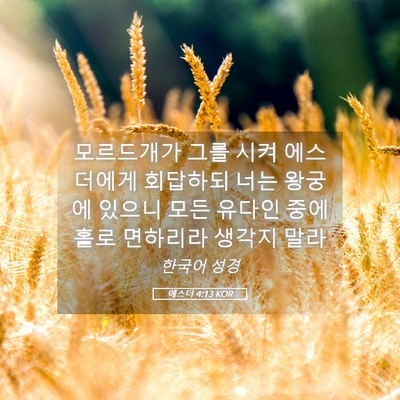 Picture 05 - 에스더 4:13 KOR - 모르드개가 그를 시켜 에스더에게 - Bible Verse Picture
