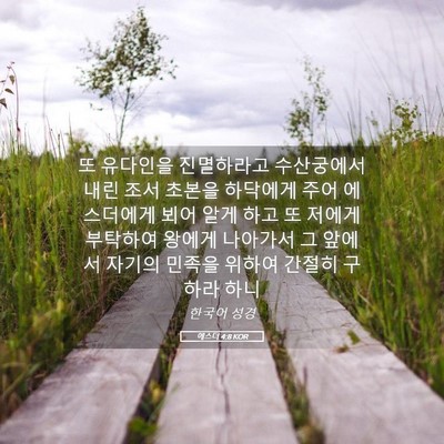 Picture 05 - 에스더 4:8 KOR - 또 유다인을 진멸하라고 수산궁에서 - Bible Verse Picture