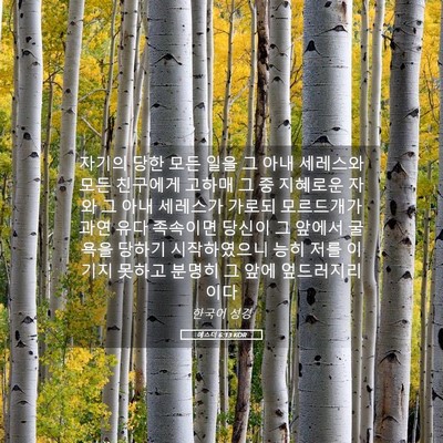 Picture 05 - 에스더 6:13 KOR - 자기의 당한 모든 일을 그 아내 - Bible Verse Picture