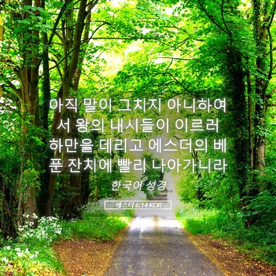 Picture 05 - 에스더 6:14 KOR - 아직 말이 그치지 아니하여서 왕의 - Bible Verse Picture