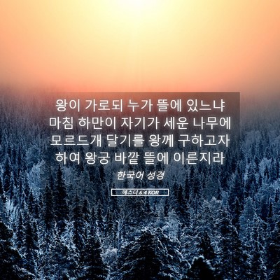 Picture 05 - 에스더 6:4 KOR - 왕이 가로되 누가 뜰에 있느냐 마침 - Bible Verse Picture