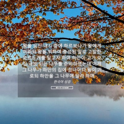 Picture 05 - 에스더 7:9 KOR - 왕을 모신 내시 중에 하르보나가 - Bible Verse Picture