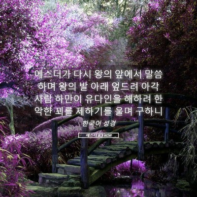 Picture 05 - 에스더 8:3 KOR - 에스더가 다시 왕의 앞에서 말씀하며 - Bible Verse Picture