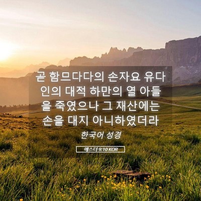 Picture 05 - 에스더 9:10 KOR - 곧 함므다다의 손자요 유다인의 대적 - Bible Verse Picture