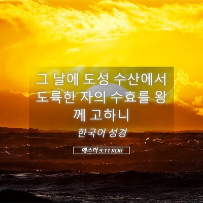 Picture 05 - 에스더 9:11 KOR - 그 날에 도성 수산에서 도륙한 자의 - Bible Verse Picture