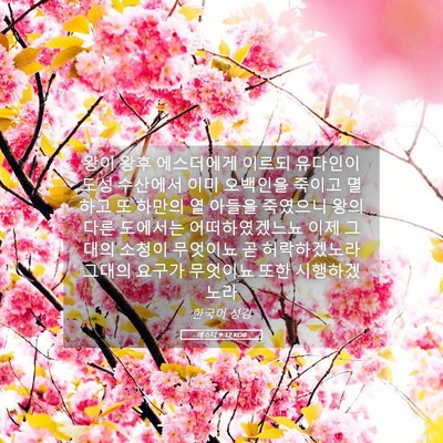 Picture 05 - 에스더 9:12 KOR - 왕이 왕후 에스더에게 이르되 - Bible Verse Picture
