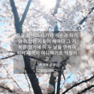 Picture 05 - 에스더 9:27 KOR - 뜻을 정하고 자기와 자손과 자기와 - Bible Verse Picture