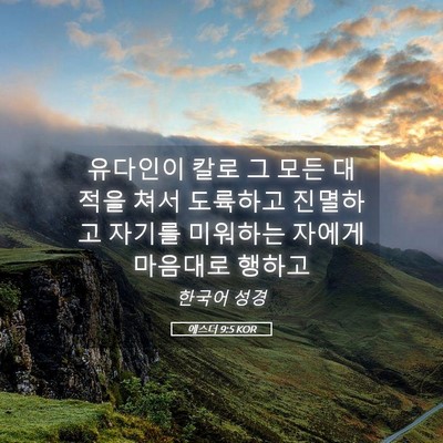 Picture 05 - 에스더 9:5 KOR - 유다인이 칼로 그 모든 대적을 쳐서 - Bible Verse Picture