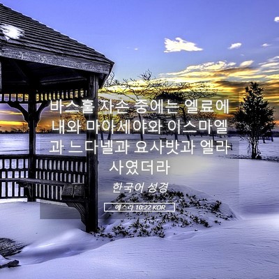 Picture 05 - 에스라 10:22 KOR - 바스훌 자손 중에는 엘료에내와 - Bible Verse Picture