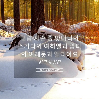 Picture 05 - 에스라 10:26 KOR - 엘람 자손 중 맛다냐와 스가랴와 - Bible Verse Picture