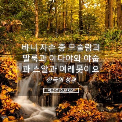 Picture 05 - 에스라 10:29 KOR - 바니 자손 중 므술람과 말룩과 - Bible Verse Picture