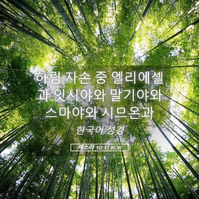 Picture 05 - 에스라 10:31 KOR - 하림 자손 중 엘리에셀과 잇시야와 - Bible Verse Picture