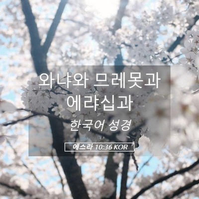 Picture 05 - 에스라 10:36 KOR - 와냐와 므레못과 - Bible Verse Picture