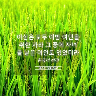Picture 05 - 에스라 10:44 KOR - 이상은 모두 이방 여인을 취한 자라 - Bible Verse Picture